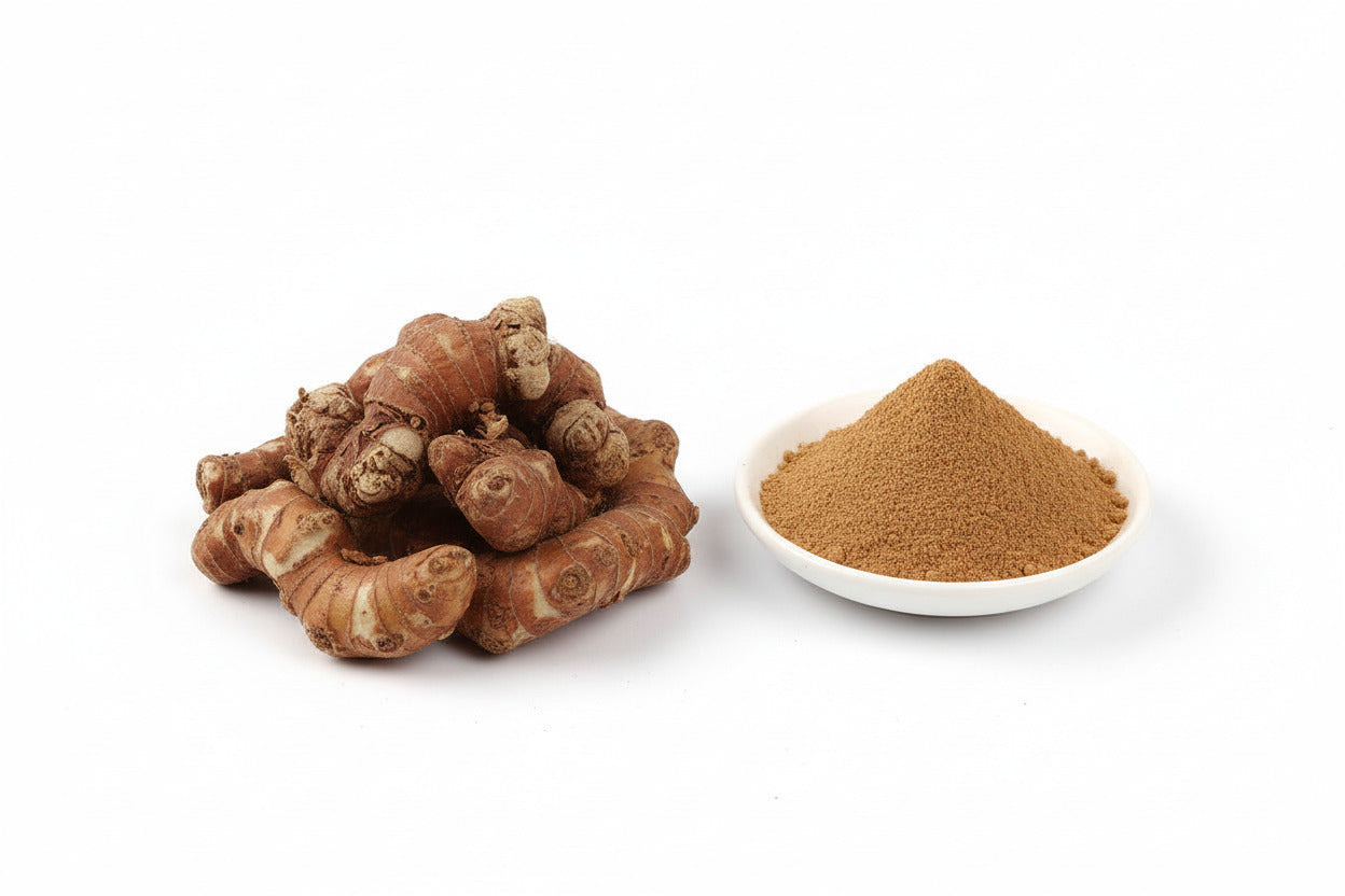 Organic Kulanjan (Alpinia galanga), Greater Galangal, Thai Ginger Powd ...