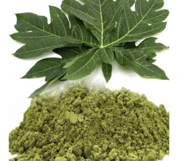 Organic Papaya Leaf Powder 100g Weight Management
