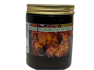 Reishi (Ganoderma ) Mushroom 100g mushroom of immortality