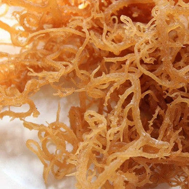 Irish sea moss semveta 50g