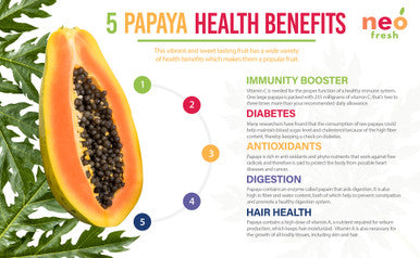 Papaya Powder for Smoothies, Superfood Diet -100g