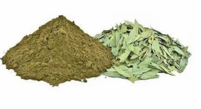 Senna Makki, Senna, Senokot – Natural Digestive Support