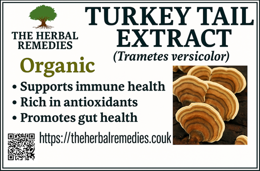 Turkey Tail Mushroom Extract 