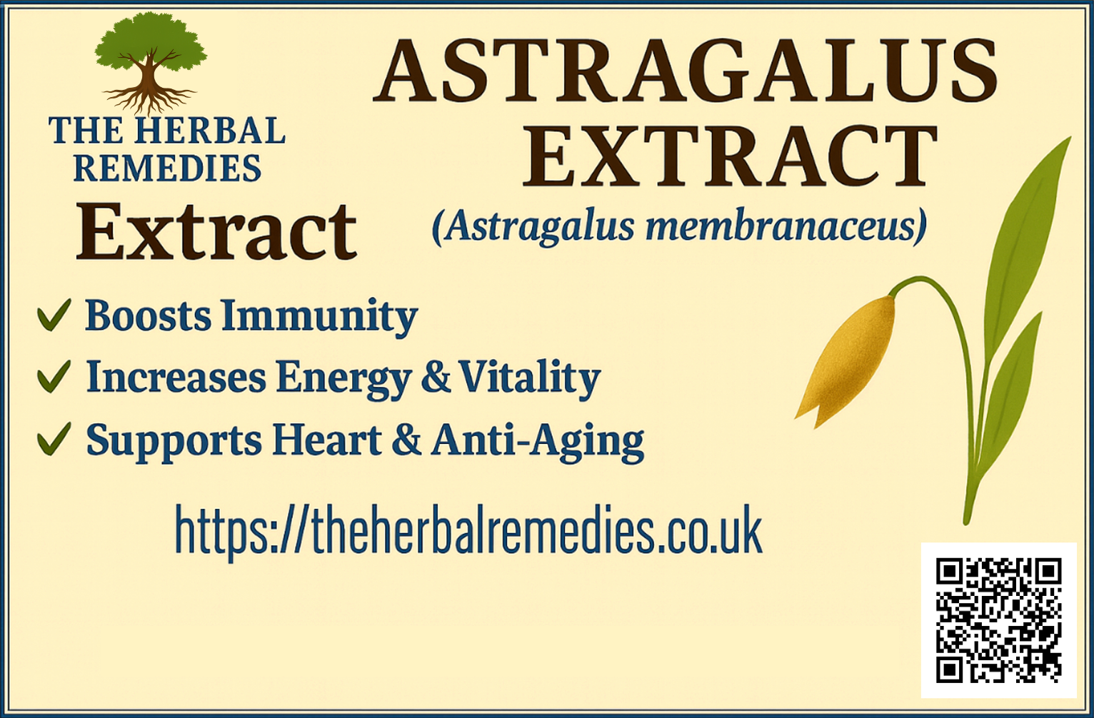 astragalus-extract-naturalcare53-uk.jpg