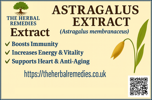 astragalus-extract-naturalcare53-uk.jpg