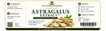 Astragalus Extract from The Herbal Remedies 