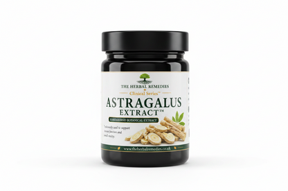 Astragalus Extract (Astragalus membranaceus) 10:1- Natural Immunity & Vitality Support