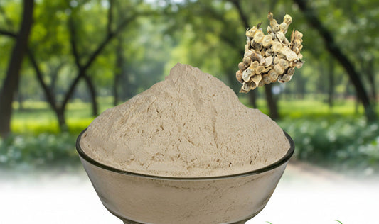 Bowl of beige powder with dried herbs on a white background, featuring Shudhi Online logo.