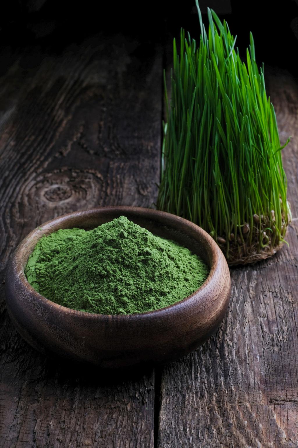 Barley Grass Powder Organic