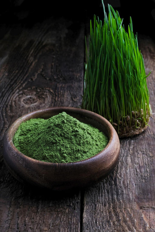 Barley Grass Powder Organic