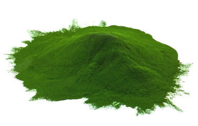 Organic Chlorella Powder 100gm