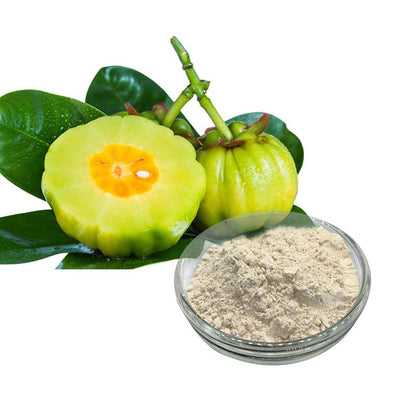 Garcinia Extract Powder – HCA Superfruit Extract (Weight Management Support)