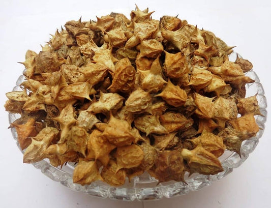 Gokhru Bada (गोखरू बड़ा) – Large Caltrops Seeds | Pedalium murex