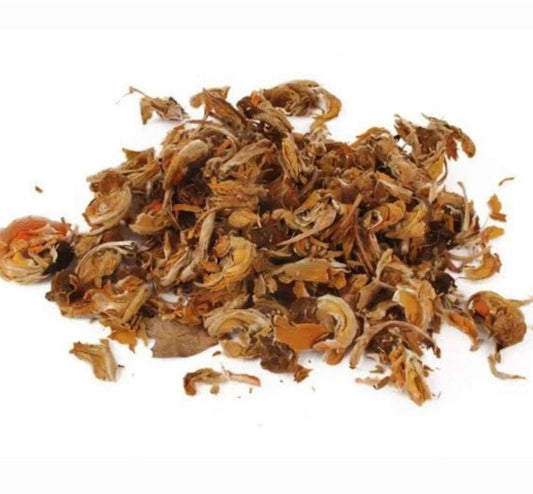 gule tesu