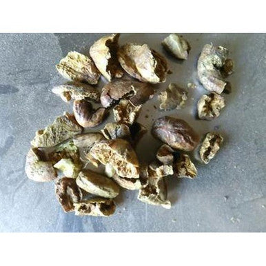 Harad Badi Chilka – हरद बड़ी छिलका – chebulic myrobalan – Terminalia Chebula 100g