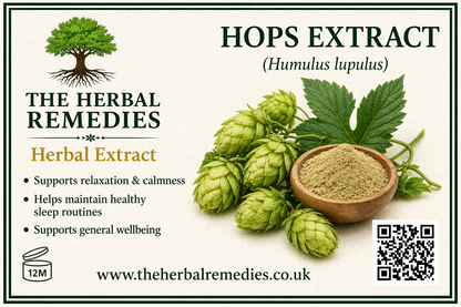 Hops Extract Powder (Humulus lupulus)– Herbal Relaxation & Sleep Support