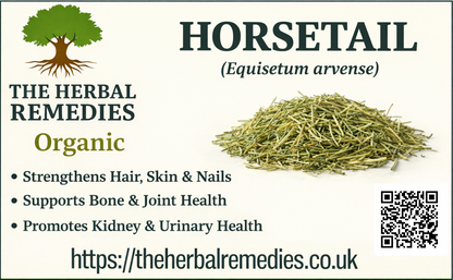 Horsetail Dried Herb (Equisetum arvense) – Bone, Hair, Skin & Urinary Wellness Support 🌿