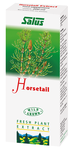 Horsetail Plant Juice Fresh Plant Extract  Wild Grown  200ml