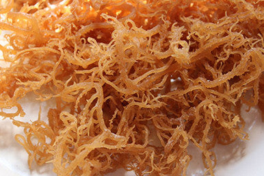 Irish sea moss semveta 100g