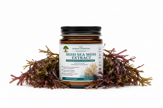 Irish Sea Moss Extract (Chondrus crispus) 10:1 — Clinical Series™
