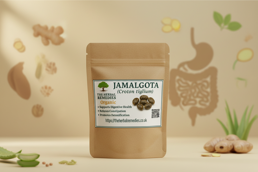 Jamal ghota Seeds Croton Seeds Croton tiglium
