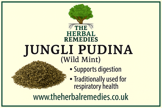 jungli pudina