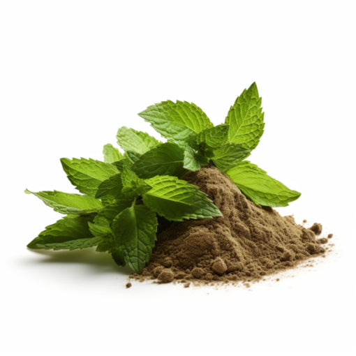 Peppermint Extract (Mentha piperita) - 50g powder