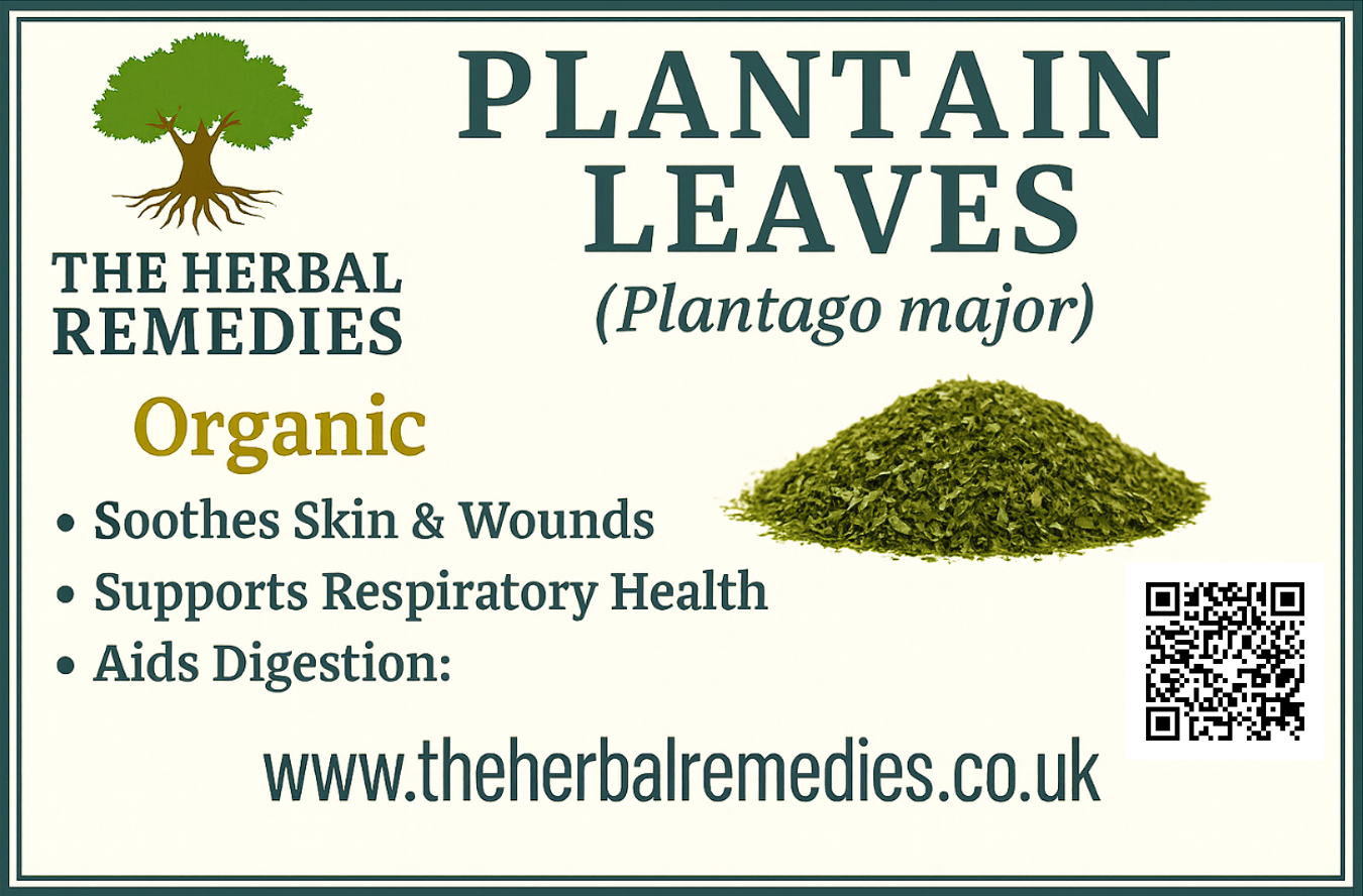 plantain-leaves-naturalcare53-uk.jpg
