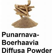 Punarnava powder 50g Organic