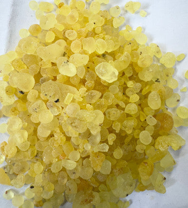 Roomi  MASTAGI Asali Pistacia Lentiscus, Rumi Mastaki - Mastic Tree Gum 25g