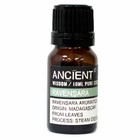 Ravensara Essential Oil – 100% Pure & Natural (10ml)