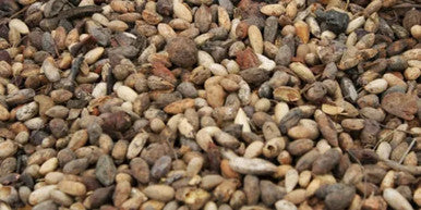 NEEM seeds, – NIMBOLI – MAGAJ NEEM – NEEM GIRI,  AZADIRACHTA INDICA 100g