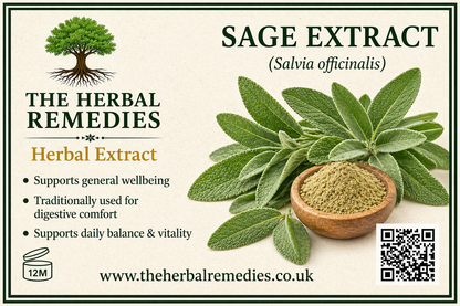 Saw Palmetto Extract | Serenoa repens | Premium Herbal Extract Powder