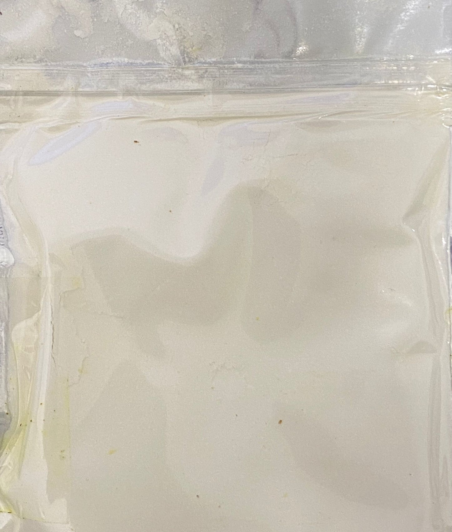 Saw Palmetto (Serenoa repens) extract — 50g