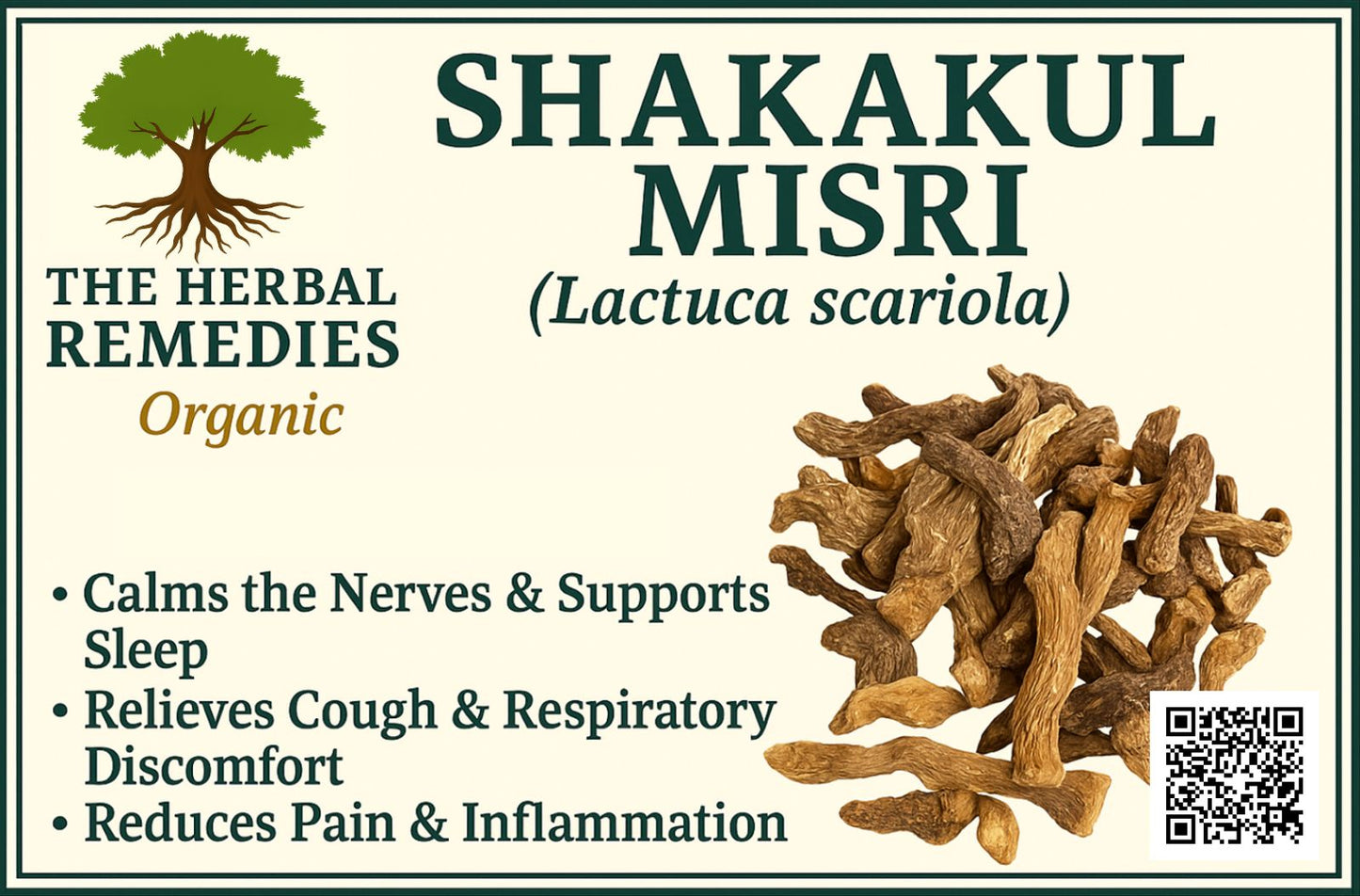 Shakakul Mishri (Sakakul Misri) – Trachydium lehmanni Root