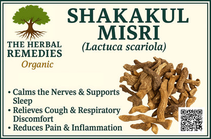 Shakakul Mishri (Sakakul Misri) – Trachydium lehmanni Root