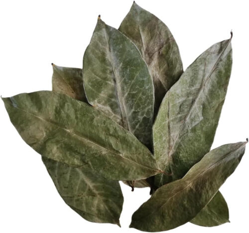 Soursop Leaves 25g, Approx, 50 Dried Leaves