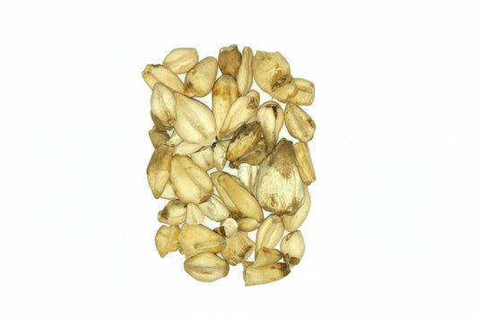 suranjan shirin Colchicum autumnale 50g joint muscular pains