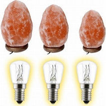 Himalayan lamp bulbs