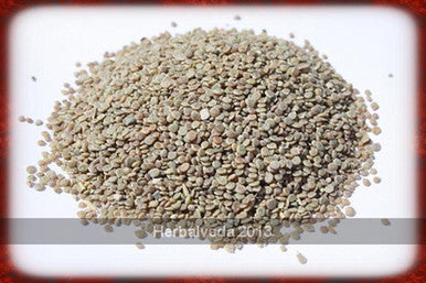 Todri or Tudri Safed (White) Seeds – Matthiola incana 50gm