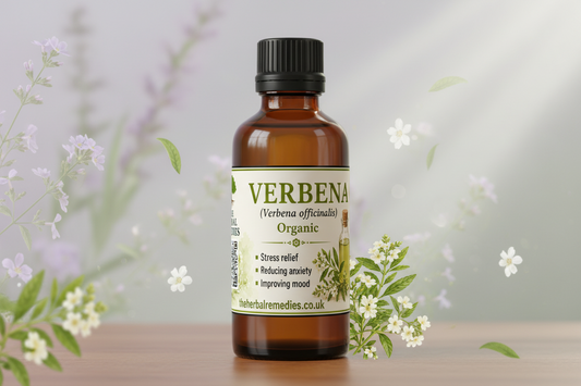 Verbena Oil | Botanical Aromatherapy, Massage & Body Oil